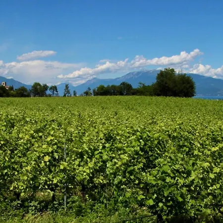 Grisot Apartamento Padenghe sul Garda